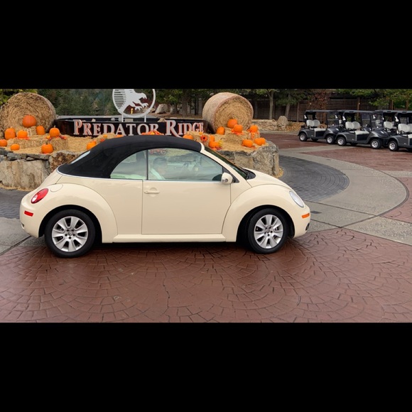 Meet your Posher, Paul - Picture 3 of 4